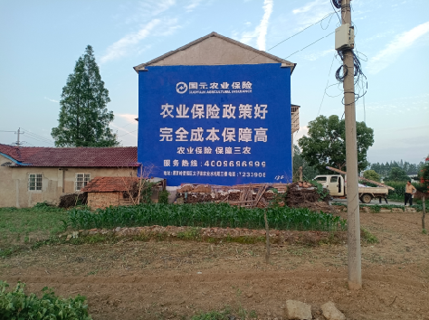 洪雅墙体广告为何受追捧？